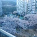 코오롱아파트 버스정류소 이미지