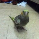 안녕, 애기 이미지