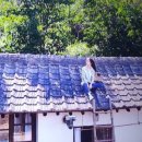 리틀포레스트 이미지