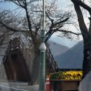 단양에왔다냥