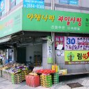 청솔청과