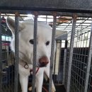 포승향남로 이미지