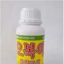 [수출, 이렇게 성공했다] 백낙영 코시팜스 대표 | 친환경유기농자재 이미지