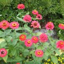 가을민박 이미지