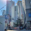 야긴다하임 이미지