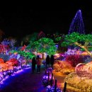 별바라기마을 이미지