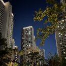 삼덕부동산중개 이미지