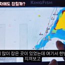 녹동스크린 | 멀미하는 선장 차보이님이 보내주신 킹피쉬어탐기 활용방법