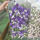 언덕배기꽃식물원 이미지