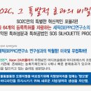 바디쉐이프