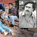 하마농장 이미지