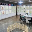 애견갤러리 강아지분양 애견샵 이미지