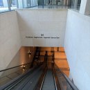 경기도 화성시 회사 워크샵 추천 호텔 푸르미르 PRUMIR Hotel 후기｜TOPAZ홀 세미나·런치메뉴·넓은...