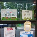 로프짐 | 성수산 왕의 숲 산림레포츠 로프 체험 초등 아이랑 1,2층 솔직 후기(코스 난이도, 필수 체크)