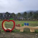 주왕산 관광지 | 주왕산 관광지 - 청송 수석꽃돌박물관, 심수관도예전시관, 청송백자전시관, 옛편지전시관