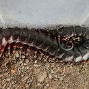 준성농장 이미지