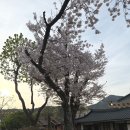 형제가든 | 부산 한우 맛집, 철마 형제가든 완벽 후기 (고기, 식사 다 맛있음)