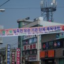 일죽중·고등학교 Daum카페