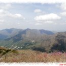 백운산가든 이미지