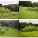 영원부원군묘 이미지