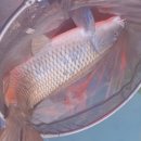 팔미리낚시터 이미지