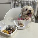 멍글(mongle) 이미지