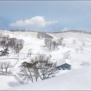 새보라목장 이미지