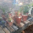 고담농장 이미지