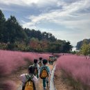 🌈익산 신흥공원에 다녀왔어요! 🌼 이미지