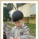 민들레어린이집 이미지