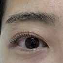 아래숯골공영주차장 | [경기/성남] 태평역 스튜디오가든 속눈썹펌 후기