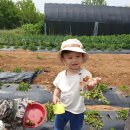 재훈농장 이미지