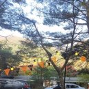 명돈골 캠핑장