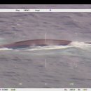 진호축산 이미지