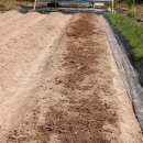 종만농장 이미지