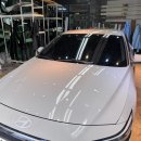 싱그런정원약국 이미지