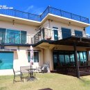 로뎀트리 이미지