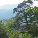 용태목장 | 화순 송파정(松坡亭)