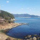 김밥산책 이미지