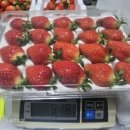 정은농장 이미지