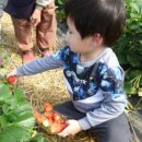 문일농장 이미지