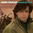 John Cougar - Hurts So Good (1982) 이미지