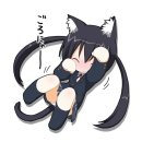 와드