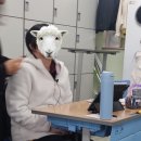서연컬렉션 이미지