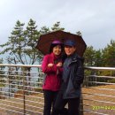 청마토목설계 | (2011. 4. 3) 거제 대금산 정기산행