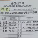 외도 가는 법, 여기서 타야 하는 이유 있었다. 도장포 유람선 후기