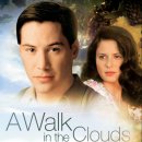 구름속의산책 이미지