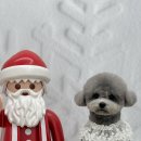 오늘은 그루밍 이미지