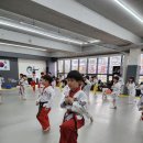 용인대백호태권도장 이미지