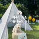 아름다운호야네 | 제주도 애견동반 숙소, 서귀포 아름다운호야네 추천(내돈내산 후기)